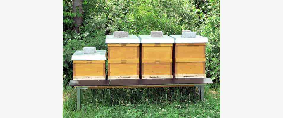 Bienenstock in Denkendorf