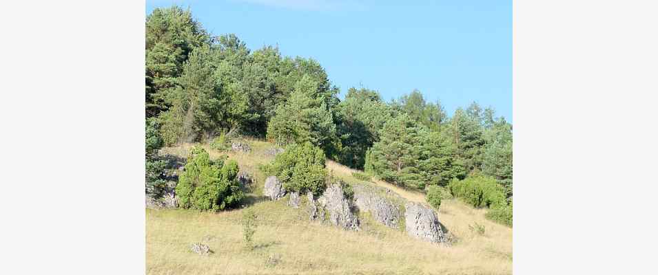 Naturschutzgebiet Kreutberg