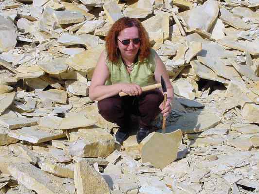 Fossiliensteinbruch bei Schamhaupten im Altmühltal