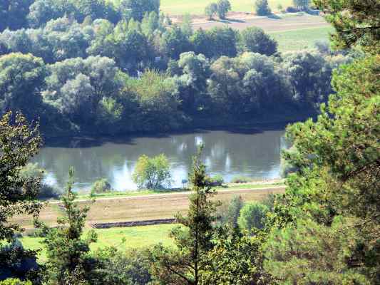 Donau am Rundwanderweg Felsenweg bei Bad Abbach