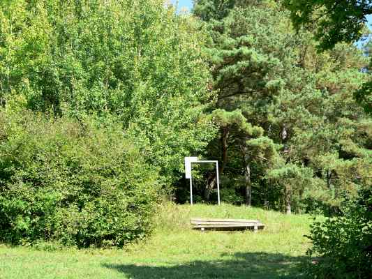 Weinhänge am Rundwanderweg Felsenweg bei Bad Abbach