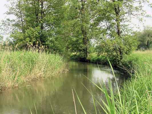 Fischereilehrpfad in Bad Gögging