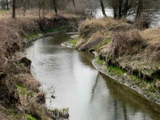 Gewässernaturierung am Rundwanderweg Römerweg bei Bad Gögging