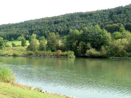 Ottmaringer Moor in Beilngries im Altmühltal