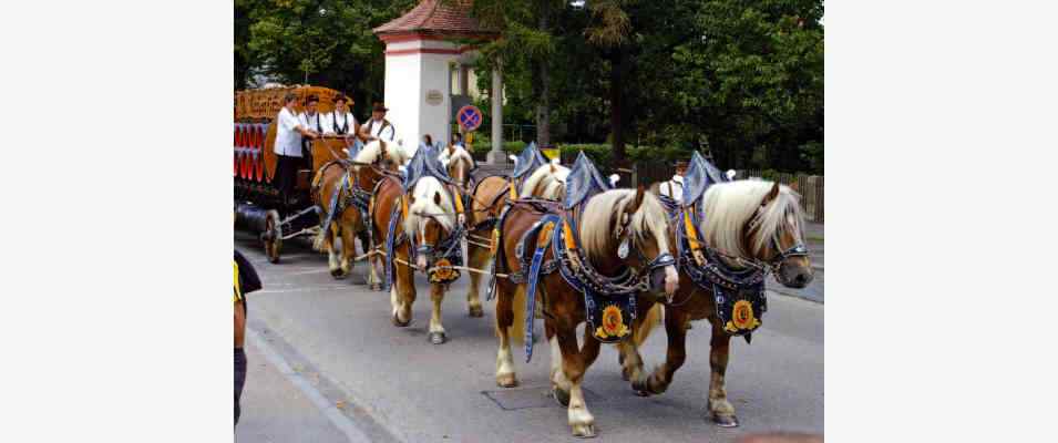 Volksfest