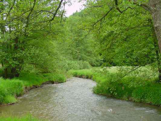 Jurasteig in Breitenbrunn im Altmühltal