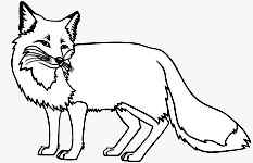 Fuchs