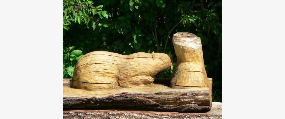 Biber aus Holz