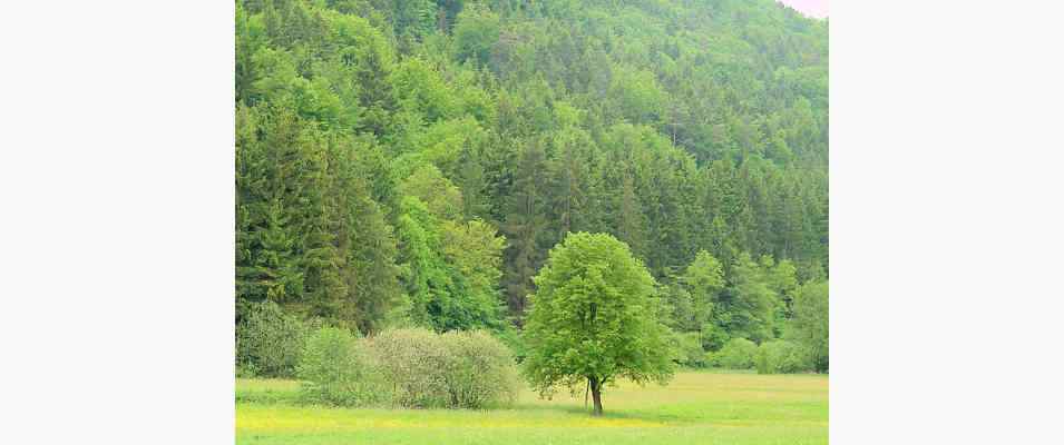 Wanderung durchs Laabertal im Altmühltal