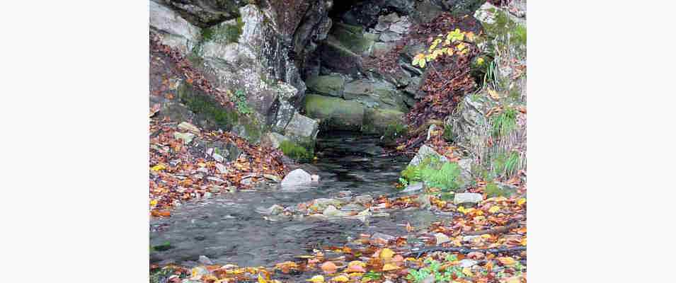 Quellen am Naturerlebnisweg bei Dietfurt im Altmühltal