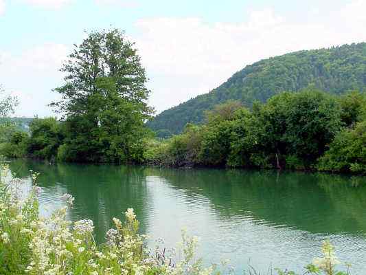 Altwasser an der Altmühl bei Dietfurt im Naturpark Altmühltal