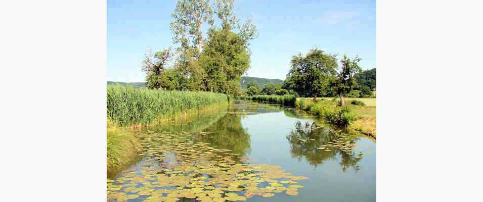 Altwassers an den Wasserwegen in Dietfurt im Altmühltal