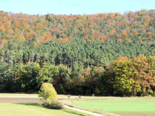 Wolfsberg bei Dietfurt im Naturpark Altmühltal