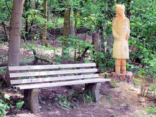 Kiefer am Wolfsberg bei Dietfurt im Altmühltal