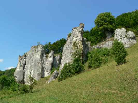 Naturschutzgebiet Mühlbergleite in Dollnstein im Altmühltal