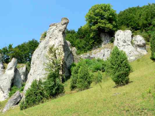 Naturlehrpfad in Obereichstätt - Schernfeld