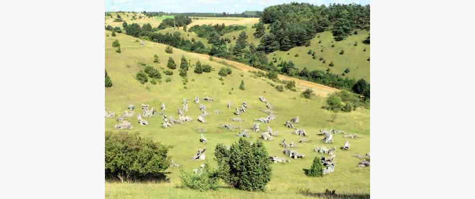 Figurenfeld in Eichstätt im Altmühltal