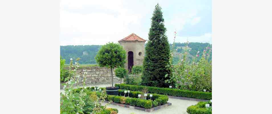 Garten Hortus Eystettensis in Eichstätt im Altmühltal