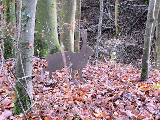 Wald vor Wild am KultURwald in Eichstätt im Altmühltal