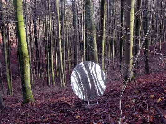 Naturnaher Waldbau am KultURwald in Eichstätt im Altmühltal