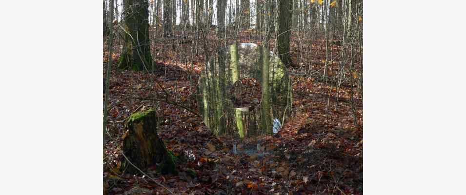 Spiegel im Wald