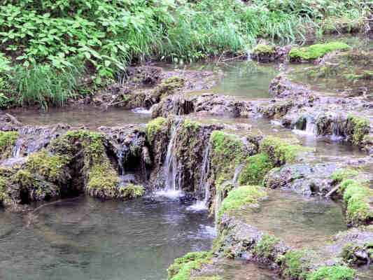 Kalktuff in Greding im Altmühltal