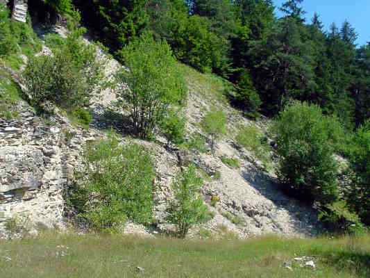 Steinbruch in Greding im Altmühltal