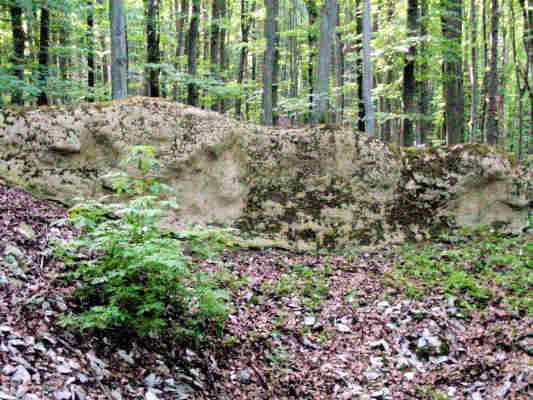 Burgruine bei Greding im Altmühltal