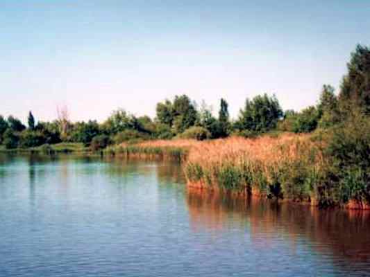 Naturschutzgebiet Vogelinsel im Altmühlsee