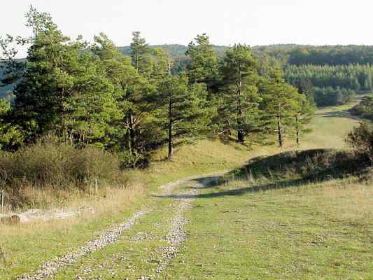 Lehrpfad in Enkering im Altmühltal