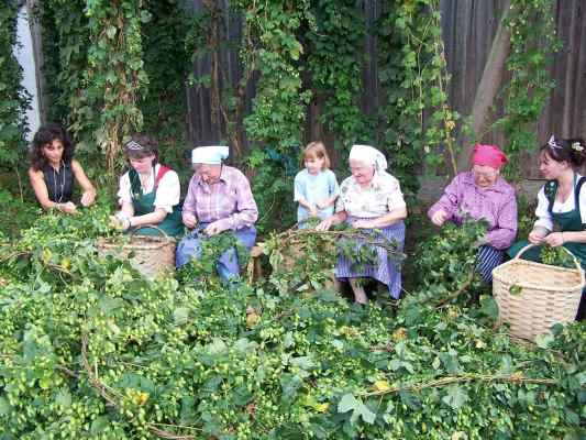 Hopfenzupferfest bei Kinding im Altmühltal