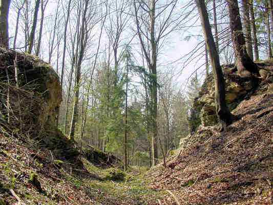 Burgstall bei Kinding im Altmühltal