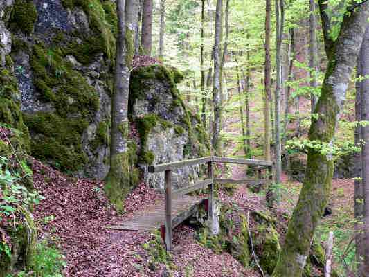 Wanderweg am Lehrpfad in Kipfenberg im Altmühltal