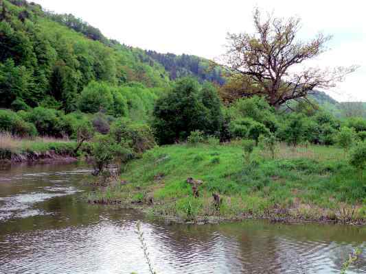 Insel Rauenwörth bei Kipfenberg im Naturpark Altmühltal