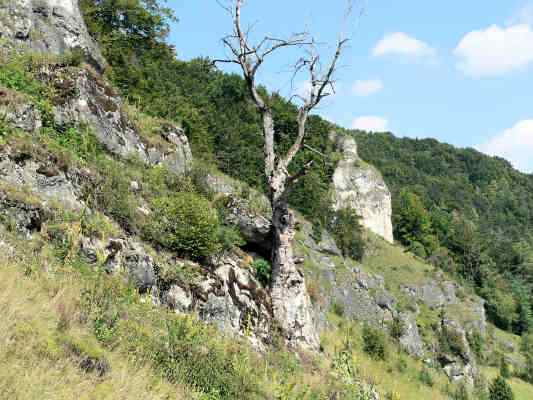 Wanderweg in Kipfenberg im Naturpark Altmühltal