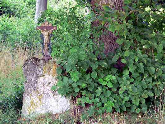 Waldsaum in Kipfenberg im Naturpark Altmühltal