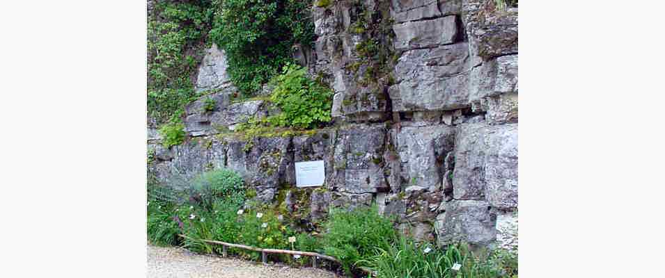 Pflanzengarten auf der Burg in Pappenheim im Naturpark Altmühltal