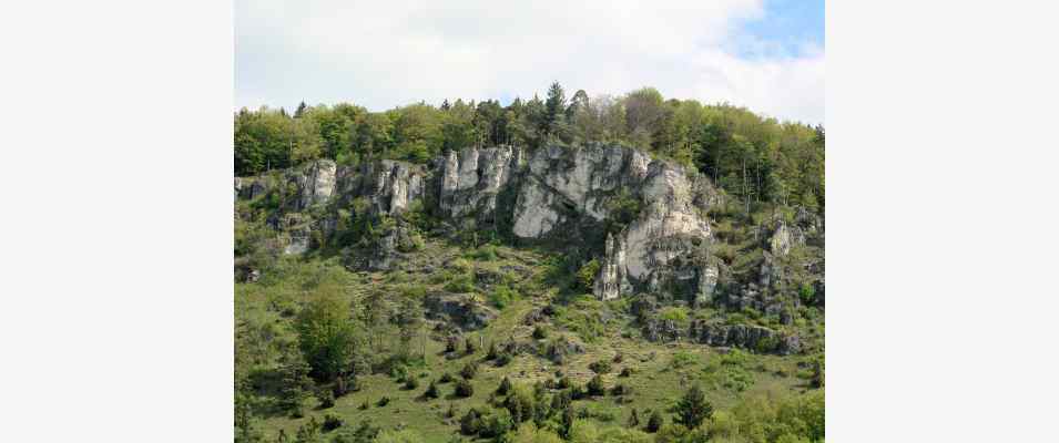 Naturschutzgebiet bei Kipfenberg