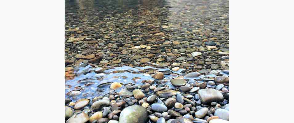 Donaukies beim Kloster Weltenburg