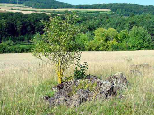 Klausenkapelle bei Riedenburg im Altmühltal