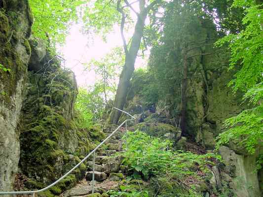 Naturwaldreservat Klamm in Riedenburg im Altmühltal