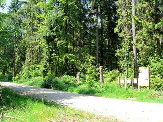 Pilzlehrpfad bei Riedenburg im Altmühltal