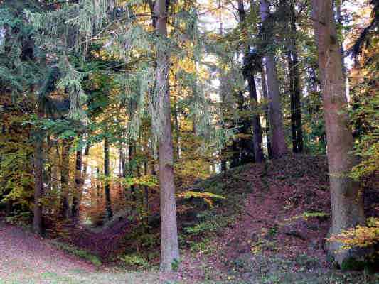 Keltenschanze in Thalmässing im Naturpark Altmühltal