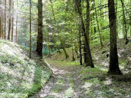 Gießgraben in Titting im Altmühltal