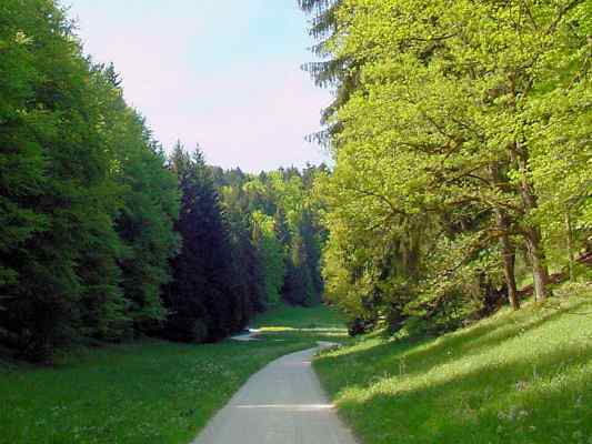 Walderlebnispfad in Titting im Altmühltal