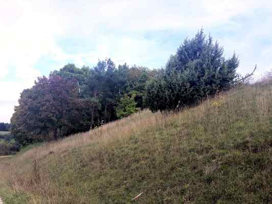 Kräuterweg in Böhmfeld im Naturpark Altmühltal