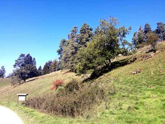 Kräuterweg in Böhmfeld im Naturpark Altmühltal