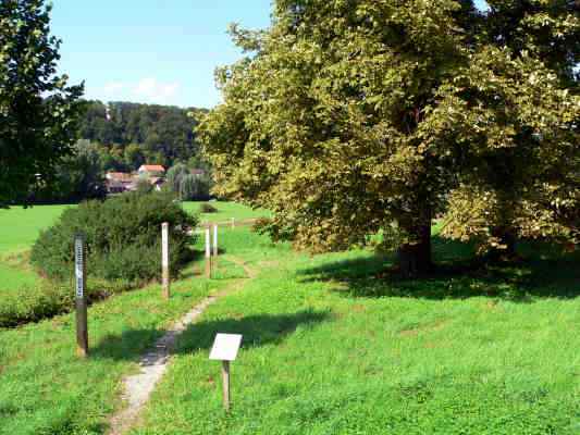 Wanderweg Lebensweg in Walting im Altmühltal