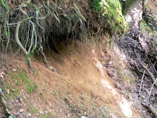 Sandgrube in Hofstetten im Altmühltal