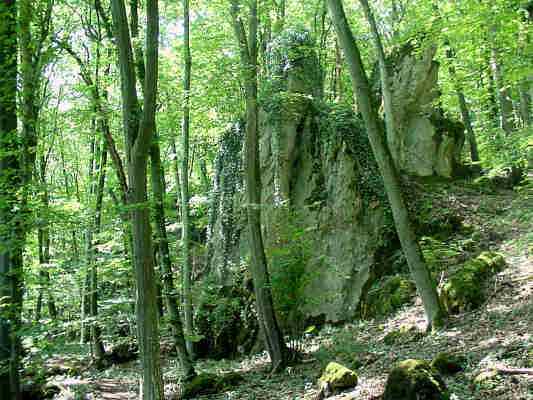 Naturwaldreservat in Weilheim im Urdonautal